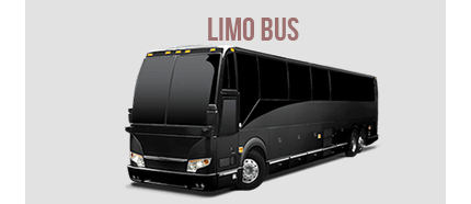 London Airport Limo Service